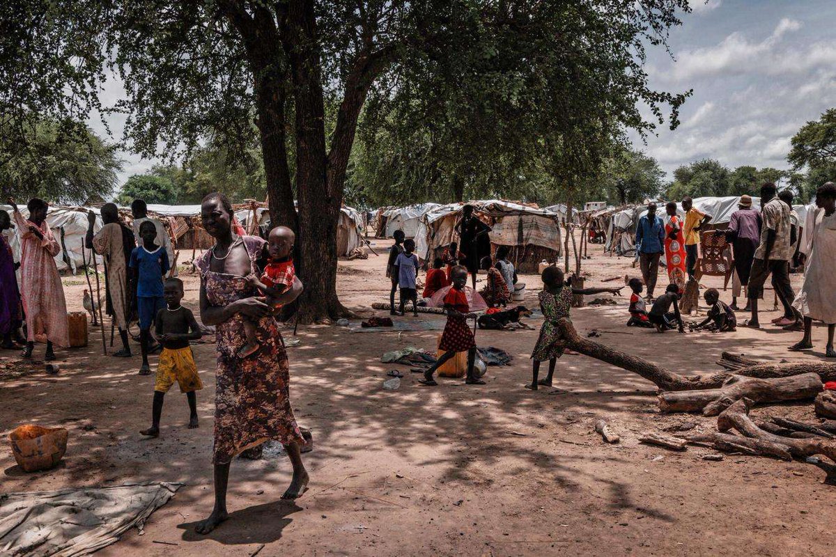 StandWithSudan's tweet photo. تستمر الاشتباكات في السودان، مما يؤدي إلى أزمة إنسانية حادة مع نقص حاد وانتشار للأمراض. تواجه الكيانات العسكرية ضغوطاً، بينما تتواصل الجهود لإيجاد طريق نحو السلام. https://t.co/kDD6oLog7Q