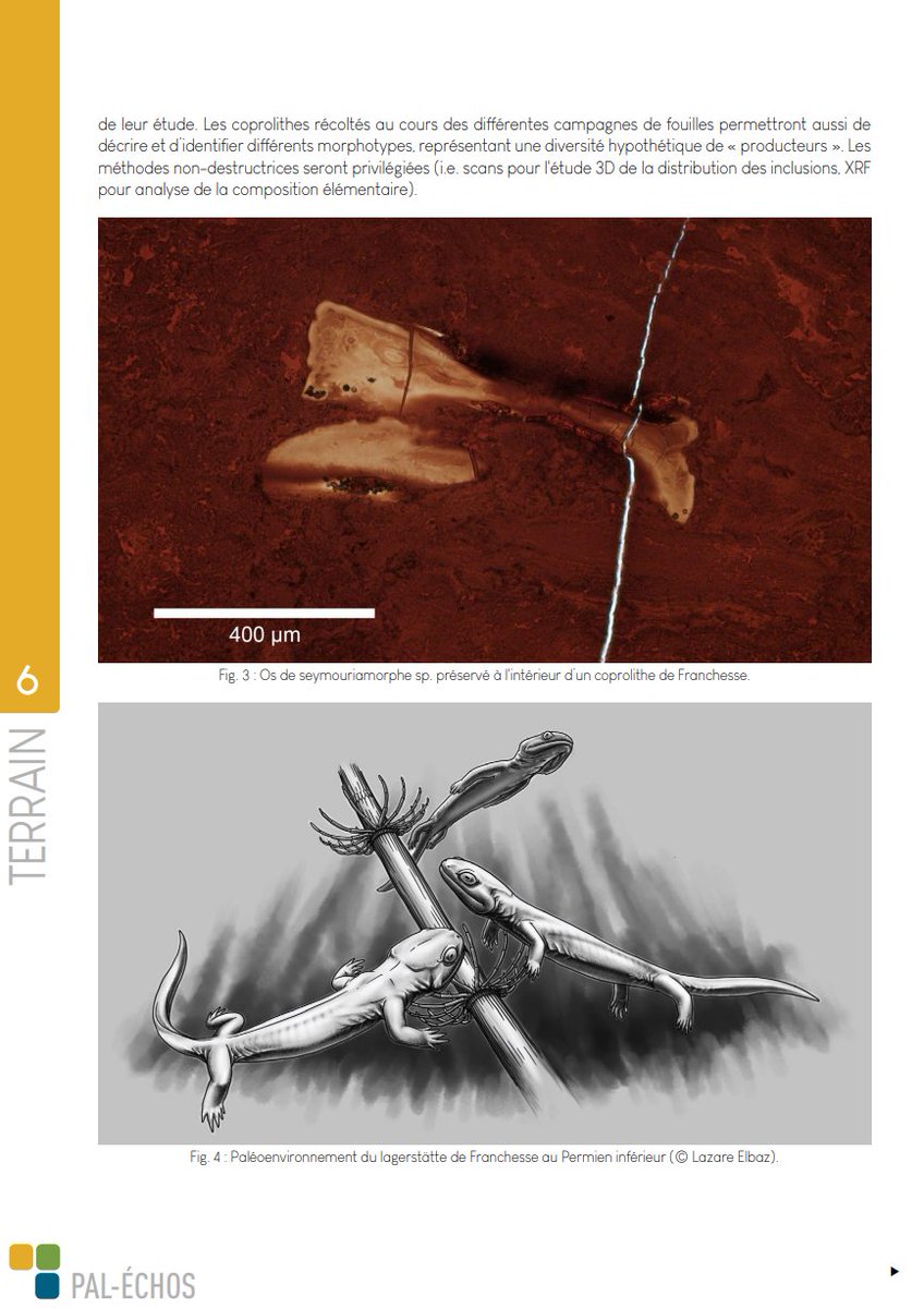 Rhinopolis tweet media