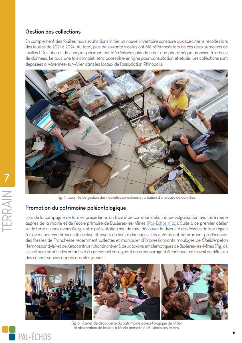 Rhinopolis tweet media