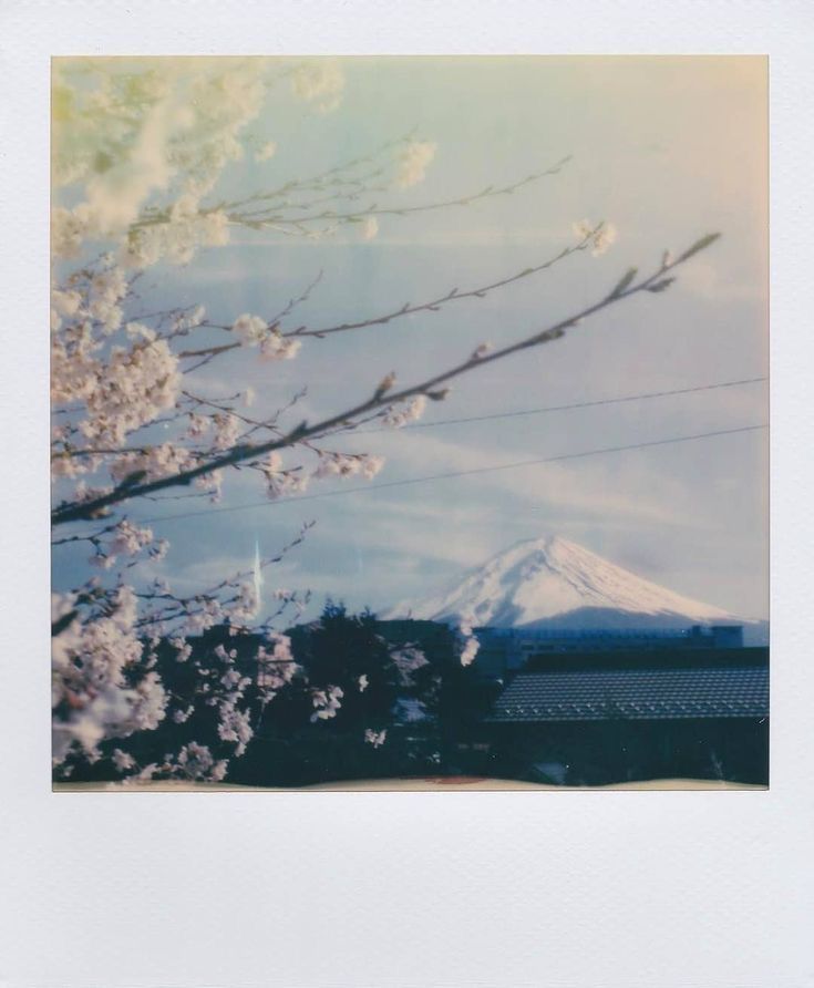 howie leywin tweet media