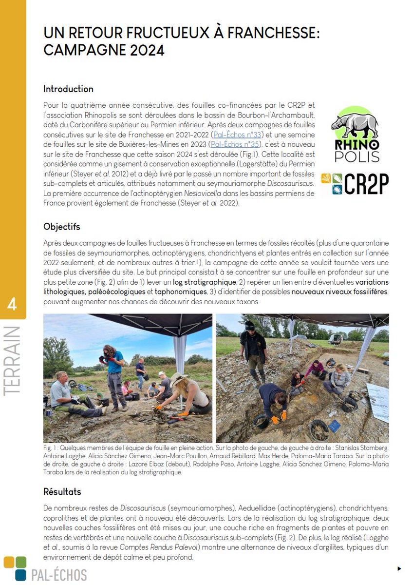 Rhinopolis tweet media