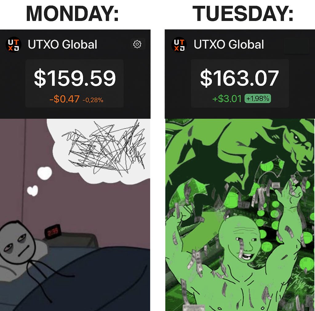 Normalize the emotional rollercoaster🎢