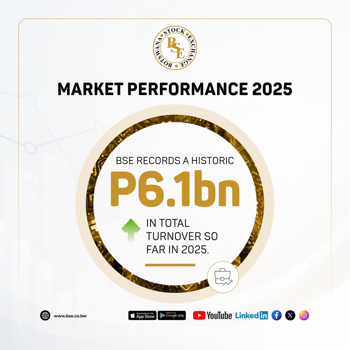 BSE MARKET PERFORMANCE 2025: