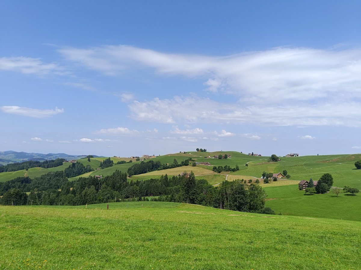 Auch heute wieder gibt es verdächtige Türmchen am Himmel. #castellani - #Gewittervorboten