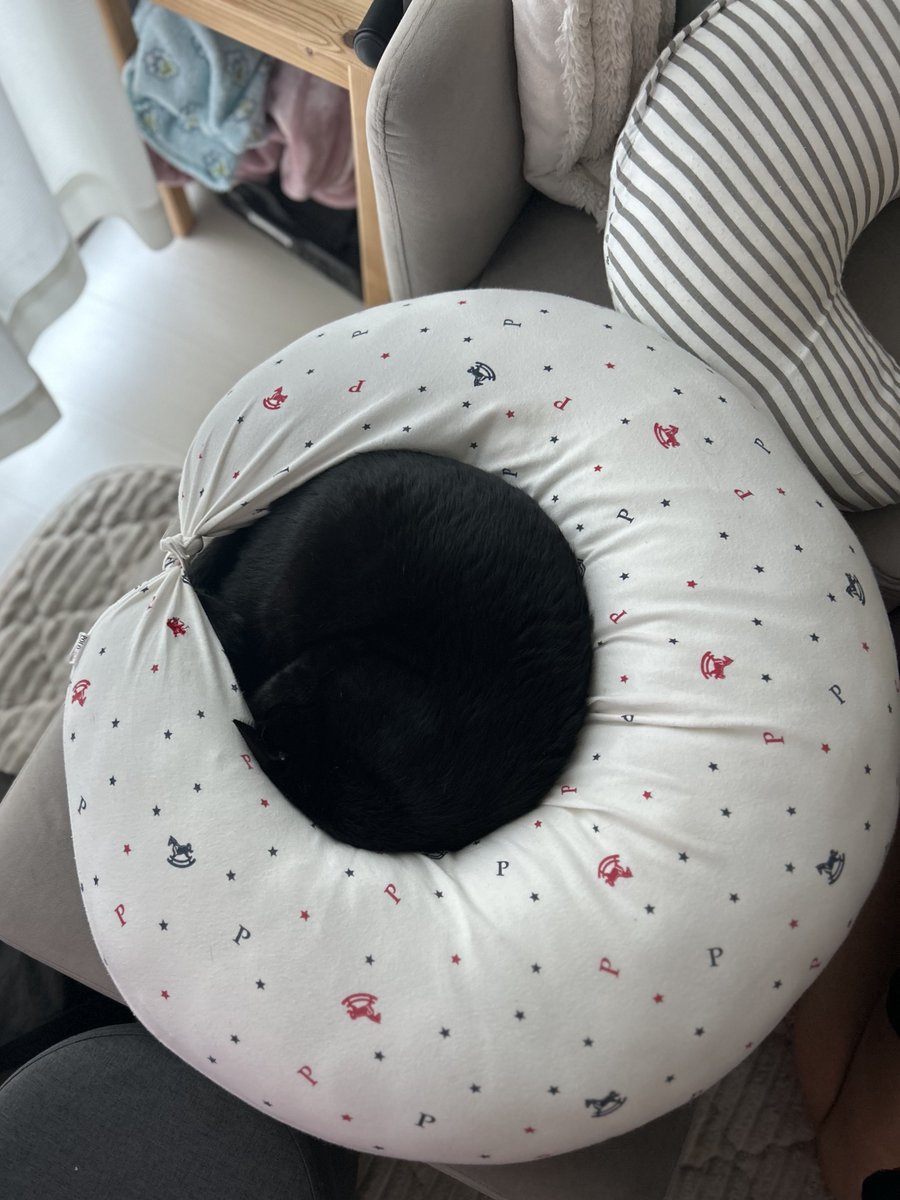 nkknrk's tweet image. 授乳クッションにすっぽりなんだが