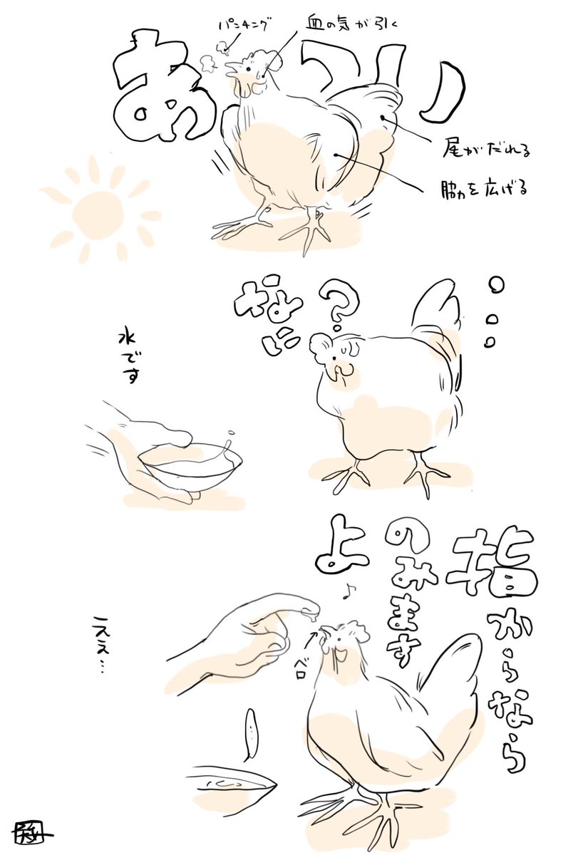 kokechankokko's tweet image. 鳥類の中では味蕾が少ないと聞き、愛おしい