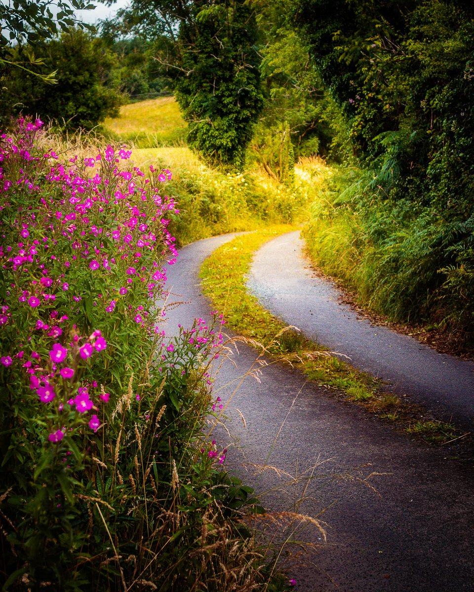 GM, and Happy Thursday!