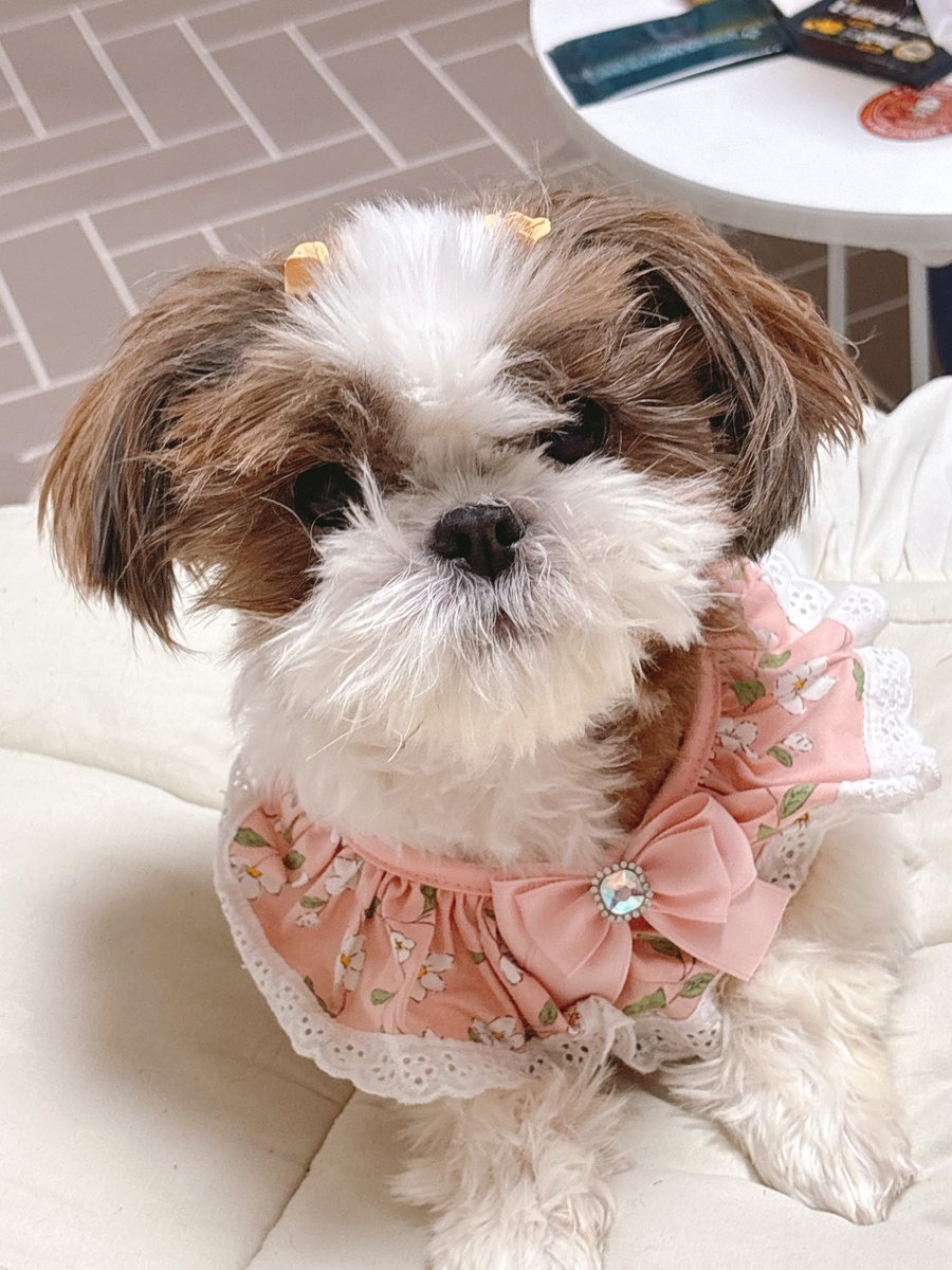 희망편                            절망편