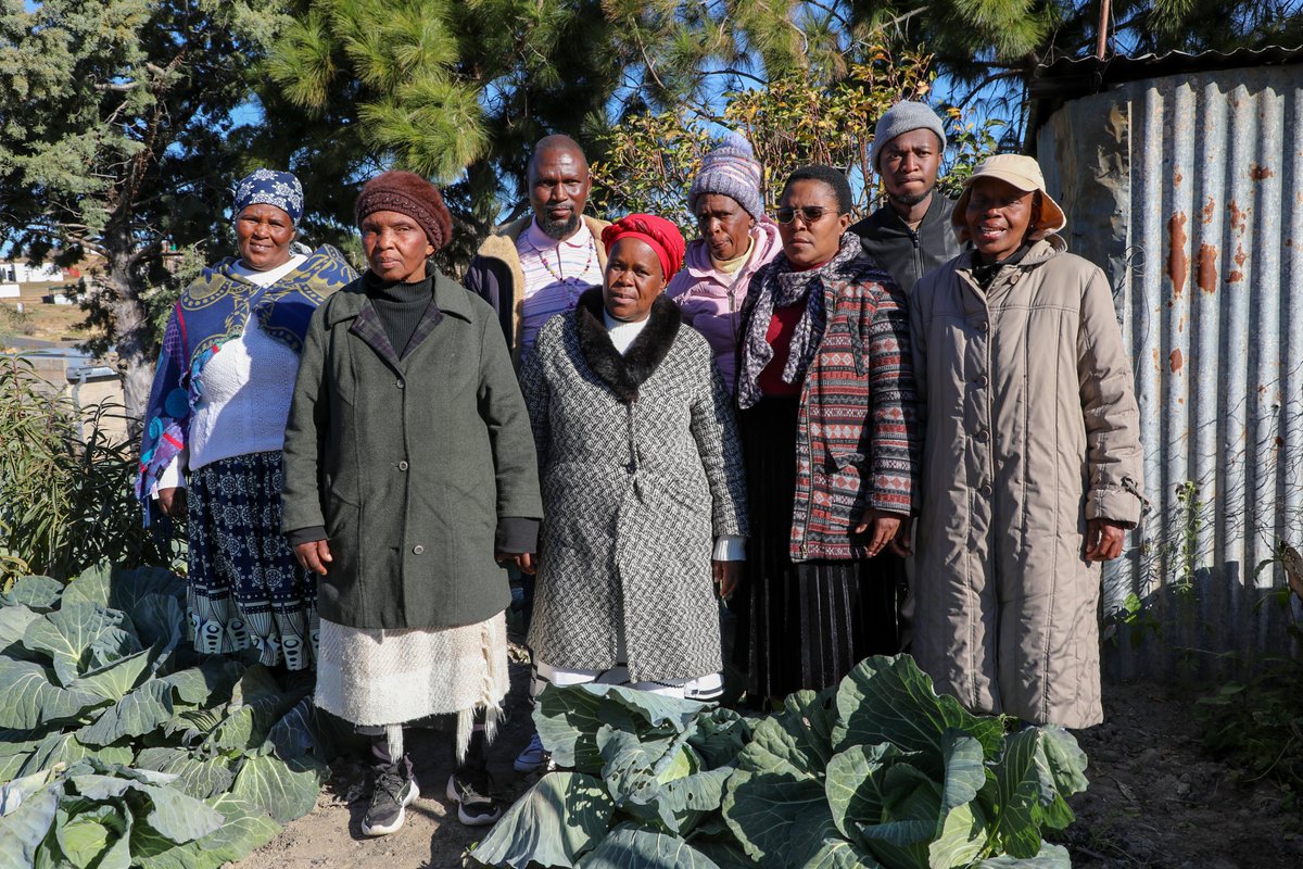 WorldvisionLS's tweet image. Families in Ha Maphohloane, Mohale’s Hoek once faced hunger &amp;amp; hardship.
Through @WorldVisionLS’s #SavingsForTransformation, they’ve launched gardens, businesses &amp;amp; sent kids back to school.
Now there’s enough to eat . 
👉 Read more: bit.ly/3TYtTly
#Resilience