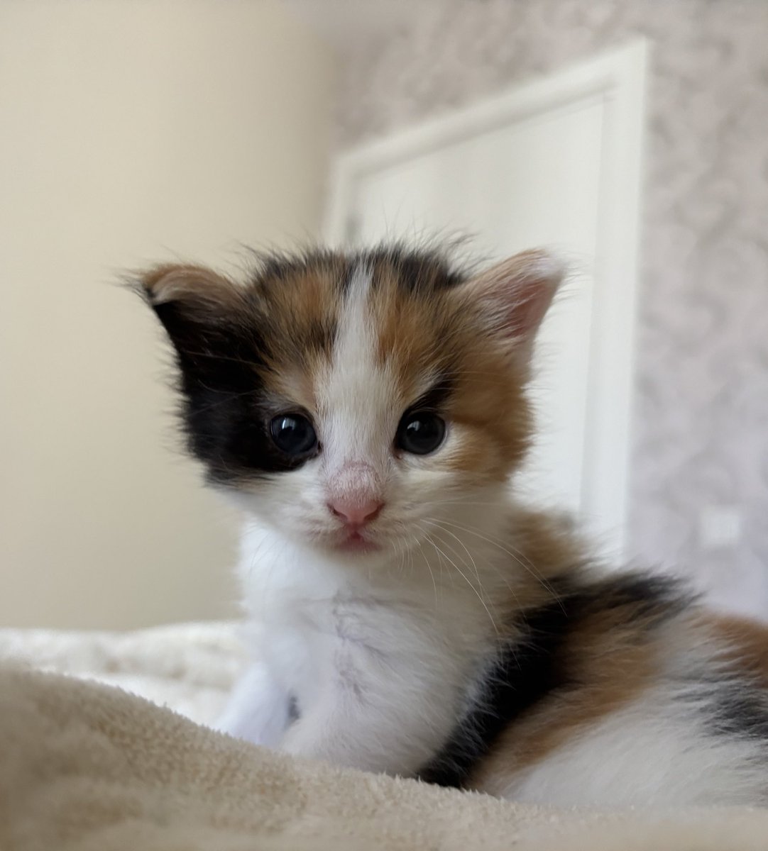 Sabah kahvaltısından sonra iyi yediiiim