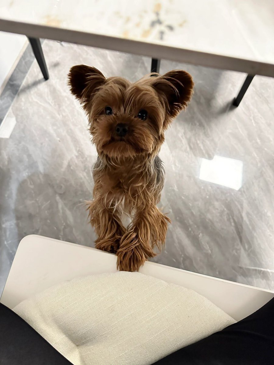 kevinfarrell326's tweet image. My baby