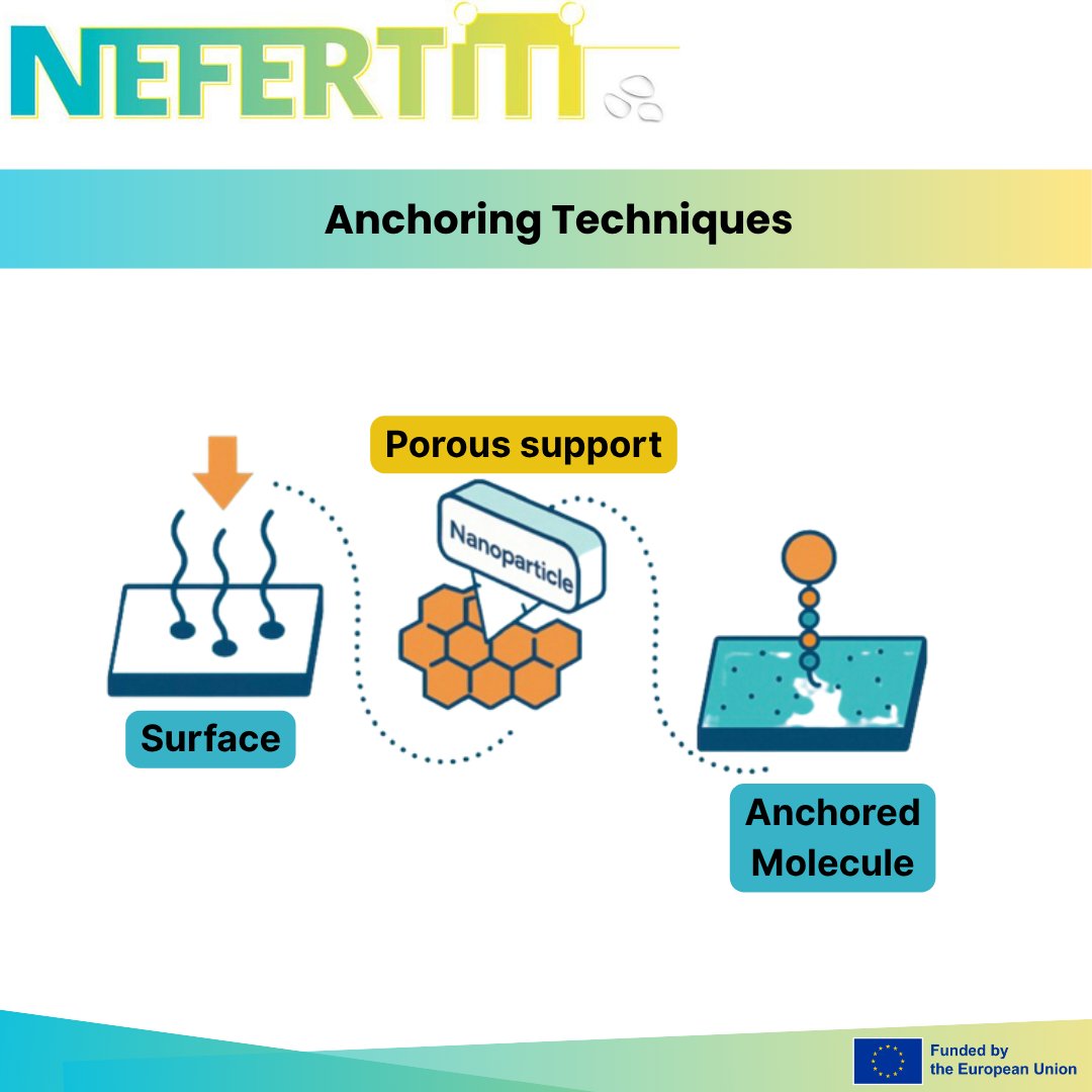 NefertitiEU (@nefertitieu) on Twitter photo ๐Anchoring catalysts effectively is key to long-term performance.
๐กLearn the strategies #NEFERTITI employs ๐ญ๐จ ๐๐ข๐ฑ ๐ง๐๐ง๐จ๐ฉ๐๐ซ๐ญ๐ข๐๐ฅ๐๐ฌ ๐จ๐ง ๐ฌ๐ฎ๐ซ๐๐๐๐๐ฌ.
๐ฅWatch the full video!
youtube.com/watch?v=kRMfcgโฆ
#NEFERTITI #eufunded #h2020 #innovation #solarfuels #MOOC ๐Anchoring catalysts effectively is key to long-term performance.
๐กLearn the strategies #NEFERTITI employs ๐ญ๐จ ๐๐ข๐ฑ ๐ง๐๐ง๐จ๐ฉ๐๐ซ๐ญ๐ข๐๐ฅ๐๐ฌ ๐จ๐ง ๐ฌ๐ฎ๐ซ๐๐๐๐๐ฌ.
๐ฅWatch the full video!
youtube.com/watch?v=kRMfcgโฆ
#NEFERTITI #eufunded #h2020 #innovation #solarfuels #MOOC