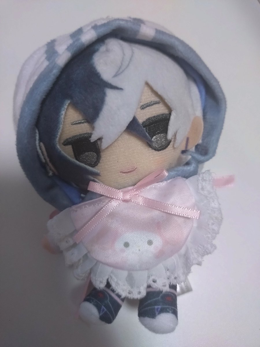 スタジオハヌルのコラボ可愛すぎる🥰
スタイはポチャ様狙いだったけど、メロも可愛いので良し☺️
この🐶にはちょっと大きい