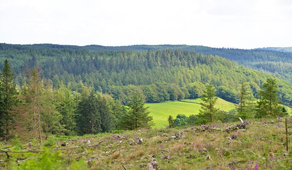 Imagine a future where ancient woodlands are bulldozed for profit. Where otters, owls &amp; badgers lose their homes overnight.   

That’s what Labour's new Planning Bill threatens.

Share if you believe nature should be protected!