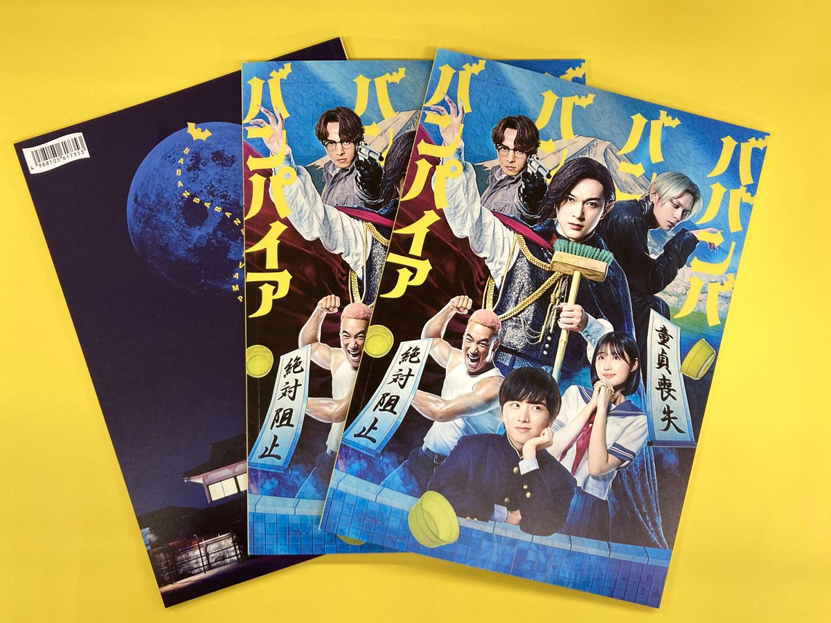 さゞなみ DVD＋劇場パンフレット