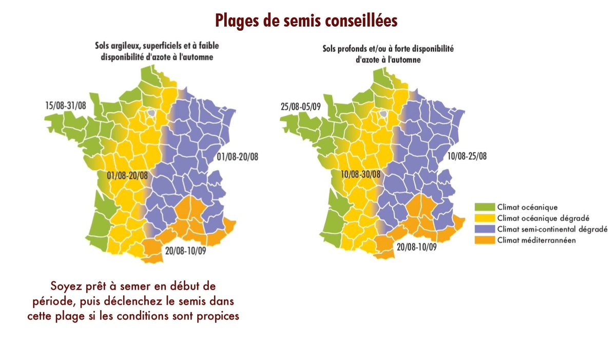 Préparation de la campagne #colza26 : objectif #ColzaRobuste 💪
Quelques conseils de #TerresInovia pour réussir l'implantation 👌
terresinovia.fr/-/preparer-la-…