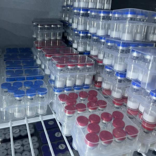 Amber8661's tweet photo. Looking for high-purity peptides at factory prices?
We’ve got you. 💯
All kinds of peptides — trusted by athletes, biohackers, and health brands worldwide.
Direct from our peptide factory in China.
DM us for samples, pricing, and fast global shipping! 🌍
Whatsapp: +8618939260321 https://t.co/X1xHF7qTmi