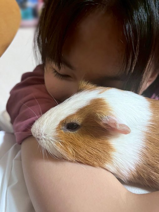 Twitterのコスプレ画像1