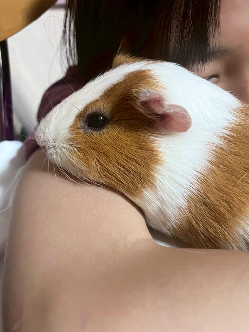 Twitterのコスプレ画像2