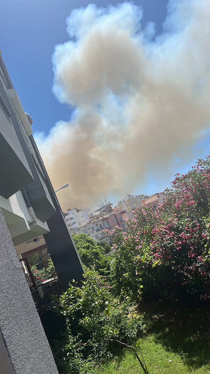 fisayar's tweet photo. #antalya Lara da da orman yangını başladı son sürat müdahale ediliyor 😔 https://t.co/hbCdsKx6Z5