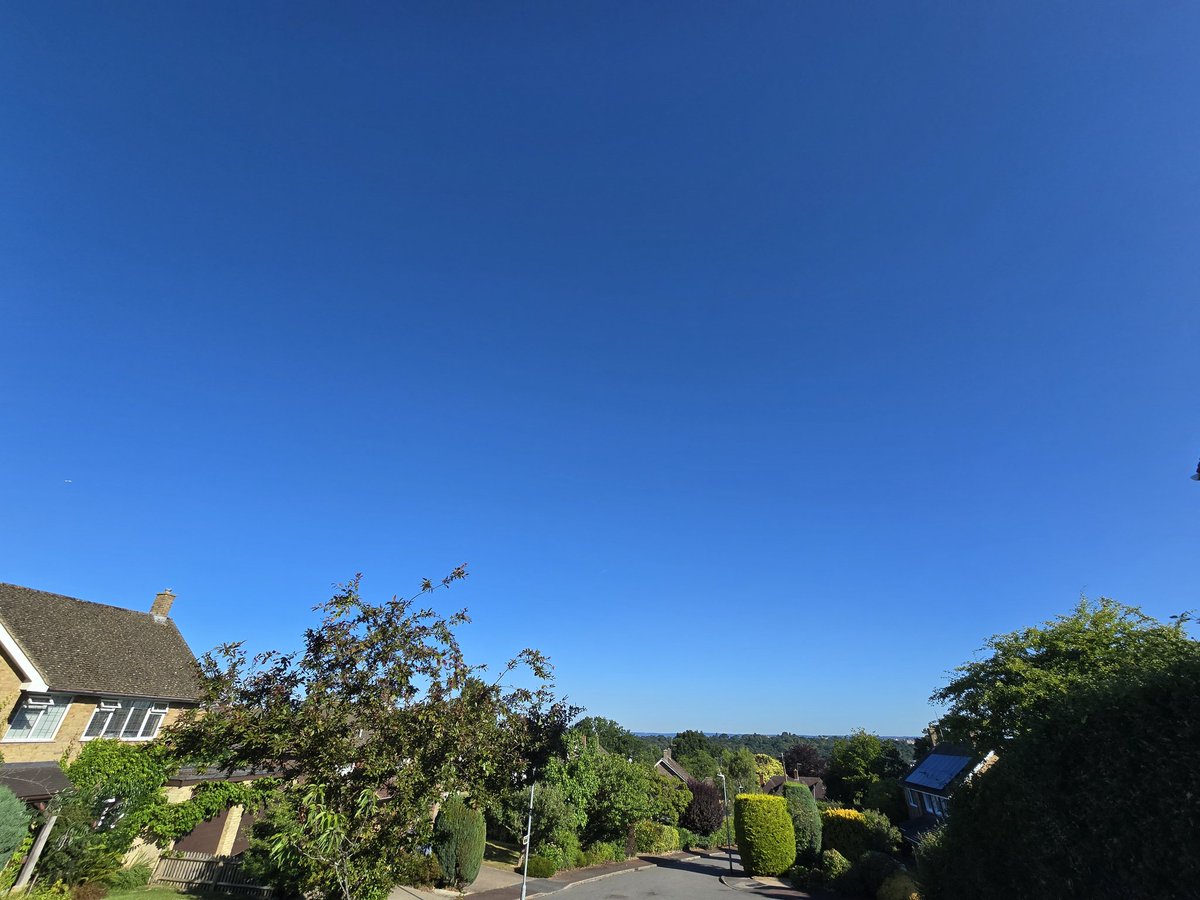 JlpRoger's tweet image. Lovely out first thing today. Really like Hawkenbury park and how it's been left to grow. #TunbridgeWells