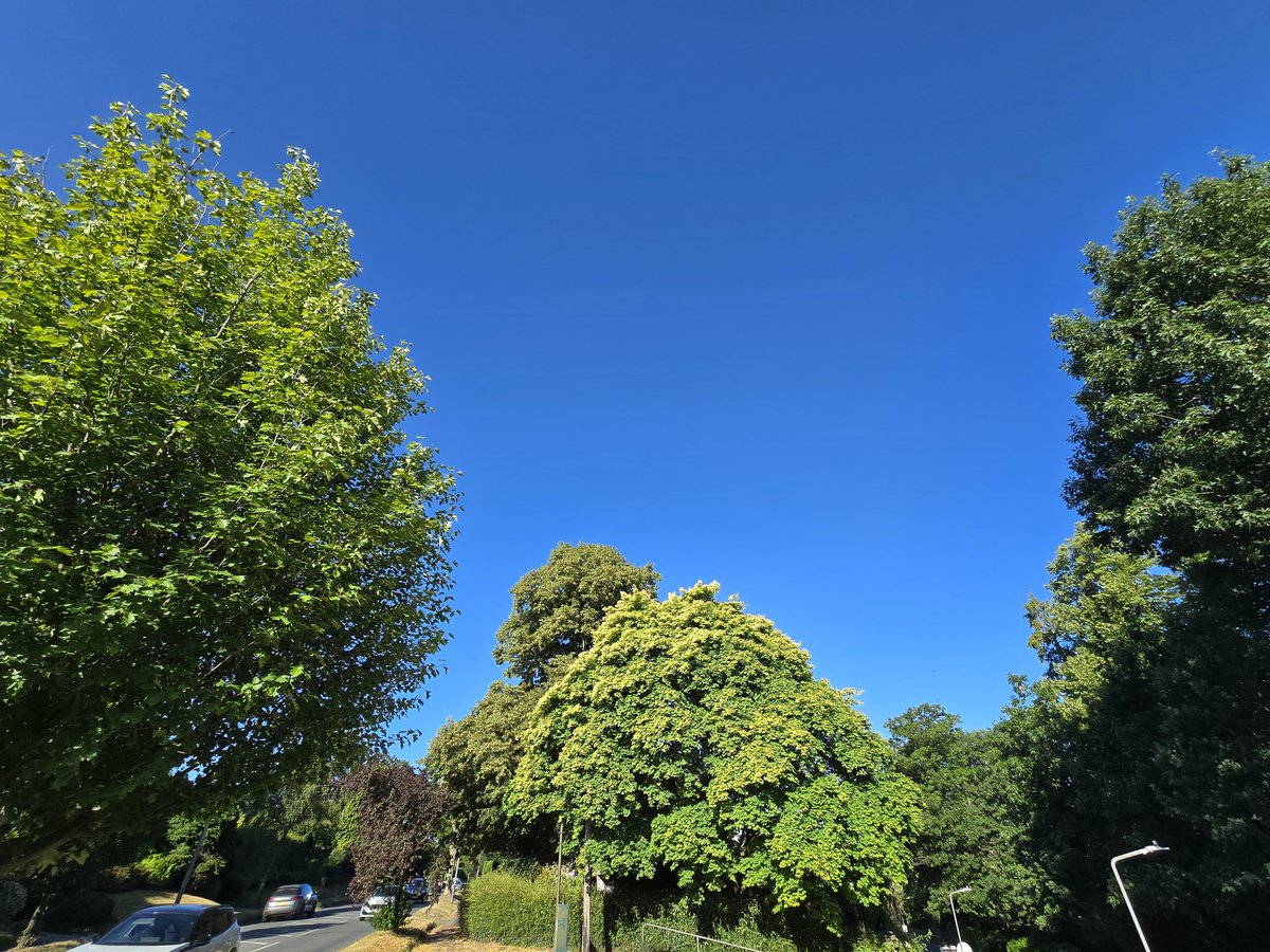 JlpRoger's tweet image. Lovely out first thing today. Really like Hawkenbury park and how it's been left to grow. #TunbridgeWells