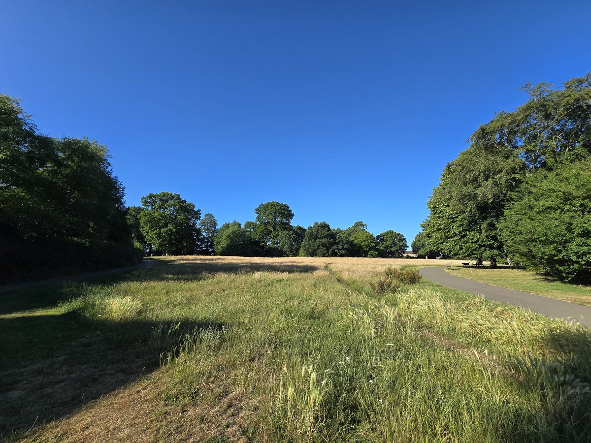 JlpRoger's tweet image. Lovely out first thing today. Really like Hawkenbury park and how it's been left to grow. #TunbridgeWells
