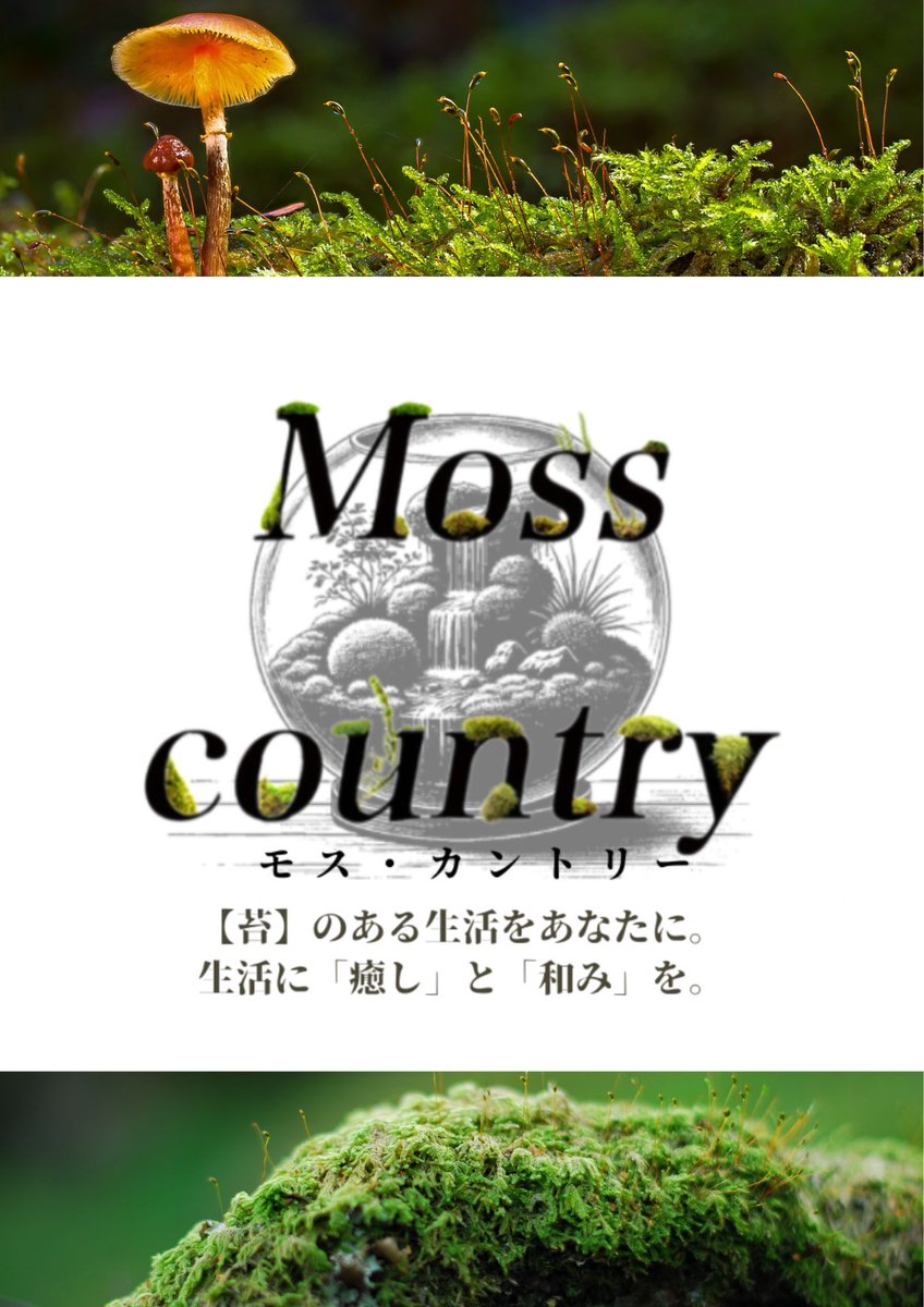 お待たせいたしました！
Moss Country
7/7  10:00〜19:00  オープン予定となります！

小さい店舗となりますがお時間のある方は是非お立ち寄りください！

住所はこちら↓↓
北海道札幌市西区発寒１１条４丁目３−１

GoogleマップでMoss Countryと検索すると出ます！