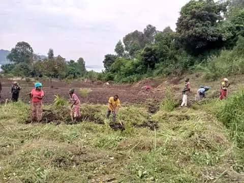 mediacongo's tweet photo. #SudKivu: La société civile de #Kalehe alerte sur l'aggravation de l'insécurité alimentaire à #Mbinga-nord. Une situation créée notamment, par le pillage des récoltes et des bétails entre janvier et février 2025, lors des combats #FARDC-#M23 ainsi que des conditions imposées par des propriétaires terriens limitant ainsi l'accès des habitants aux terres arables