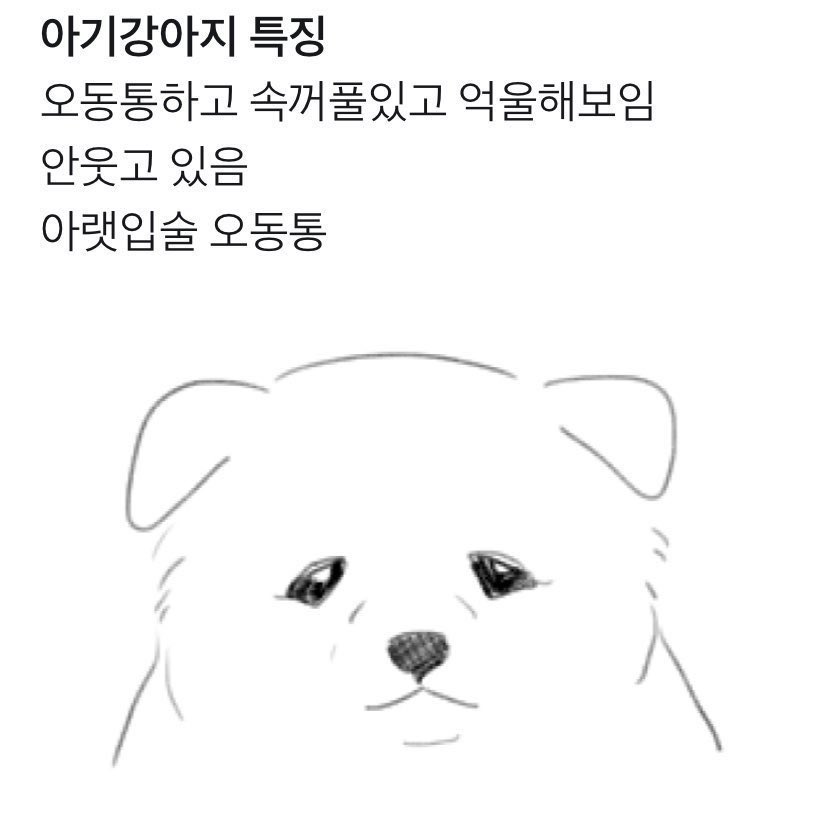 🐶
      아기강아지 특징이라는데