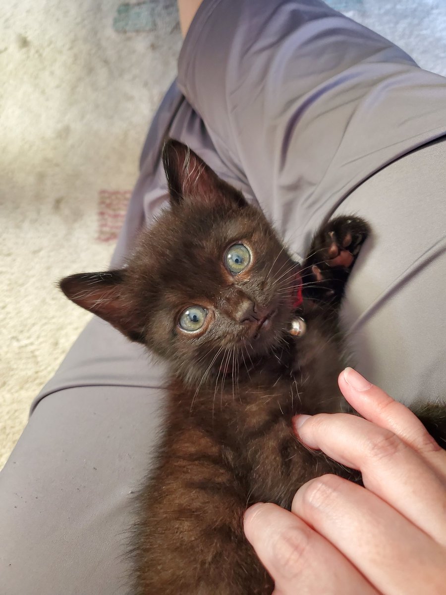 るのあ@mini tweet media