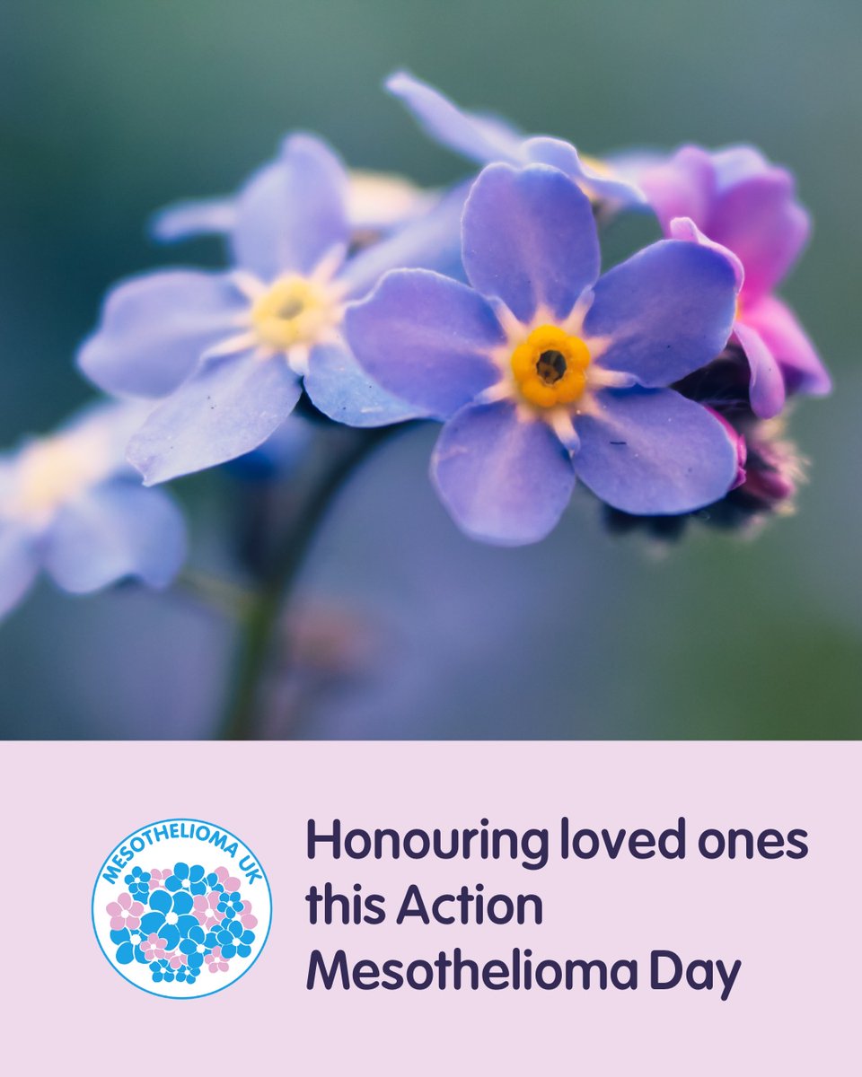 Just one day to go until #AMD2025 🕐

Thanks for your amazing efforts so far to Go Blue for Meso💙

Action Mesothelioma Day is also about supporting those affected by meso. Share your dedication on our Tribute Wall 🕯️at  ow.ly/RM2050WjH9C

#SupportAndRemember