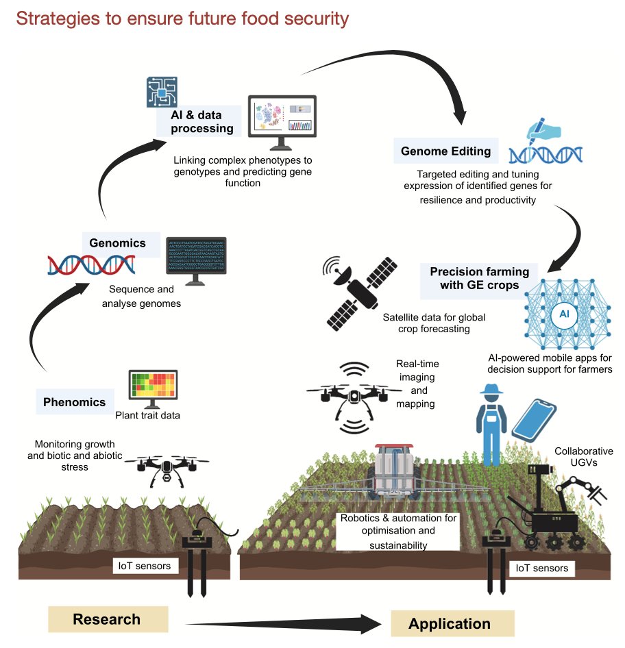 Our review on strategies to integrate genome editing with omics, artificial intelligence and advanced farming technologies to increase crop productivity is now published in Plant Communications. Great collaborations!
cell.com/plant-communic…