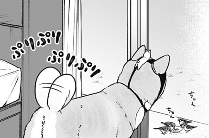 お柴 今日の推シバ（おしば）です🐕 | 大森えす さんのマンガ | ツイコミ(仮)