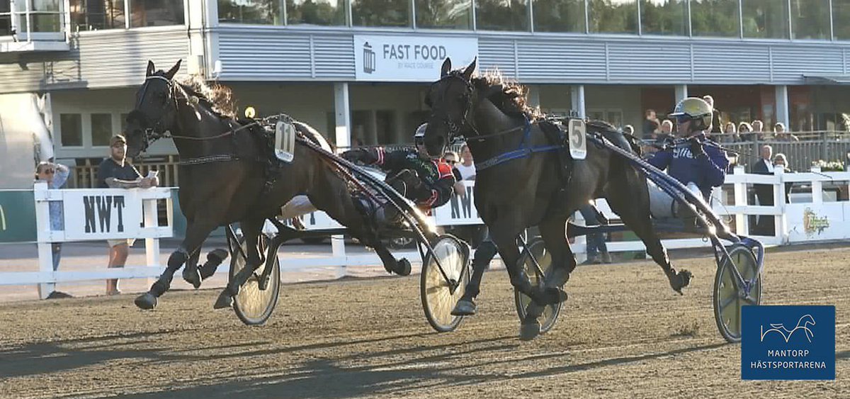 Anna Mae skrällvann

Micael Stjernström har fin snits på hästarna och redan i halvårsskiftet kan vi fastställa att han går mot en rekordsäsong. Vid skrällsegern i måndags med Anna Mae på Färjestad (bilden) passerades tidigare årsbästaresultat.
Läs mer på: mantorphastsportarena.se/nyheter/anna-m…
