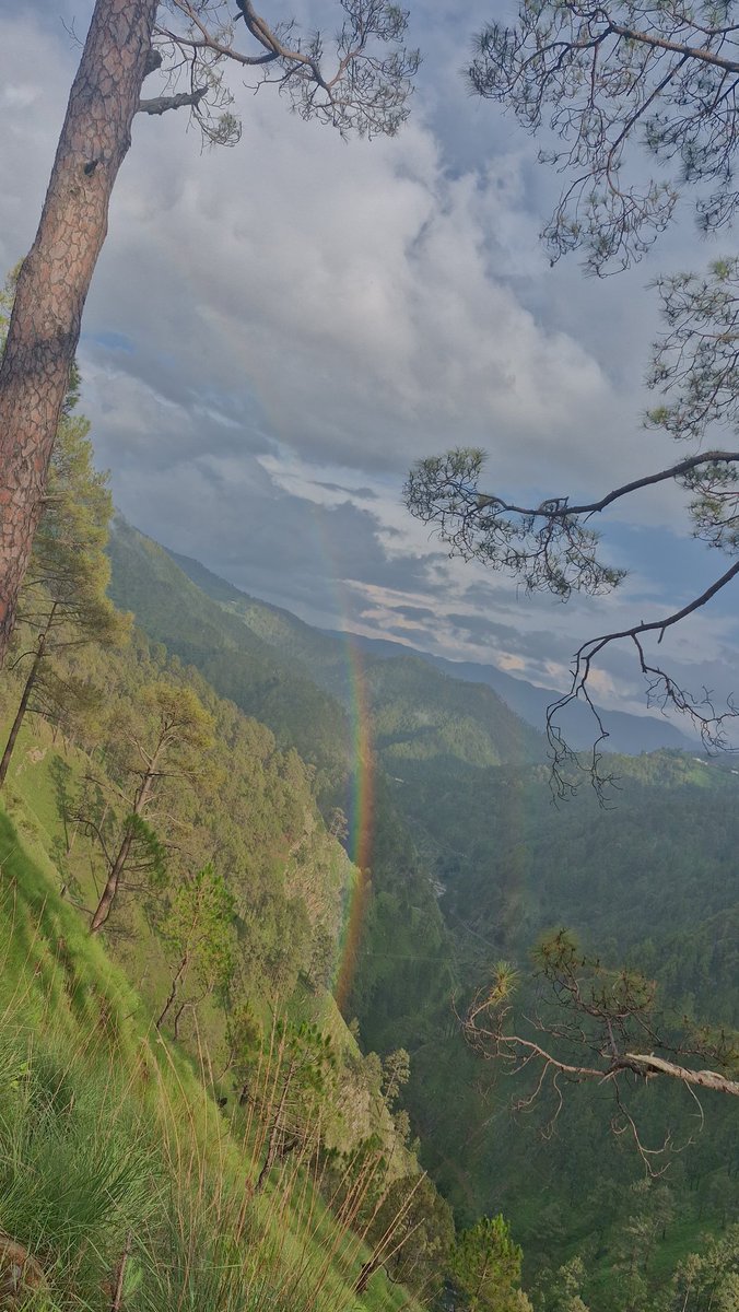 AIXplorerSam's tweet image. Yesterday was one of those moments you just wanna pause life for a bit.
up in the mountains, calm all around, a rainbow in front,
and thoughts running deep.
Sometimes all you need is a little escape to feel everything again.🌈🌲
#MountainMoments #NatureHeals #JustVibes