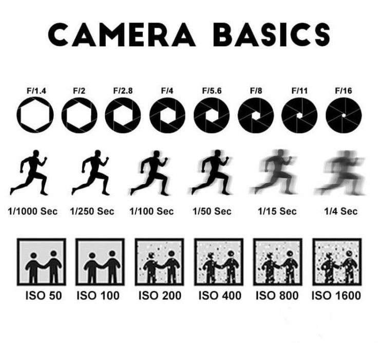 RonaldWolf6789's tweet image. #The #camera #basics #of #photography