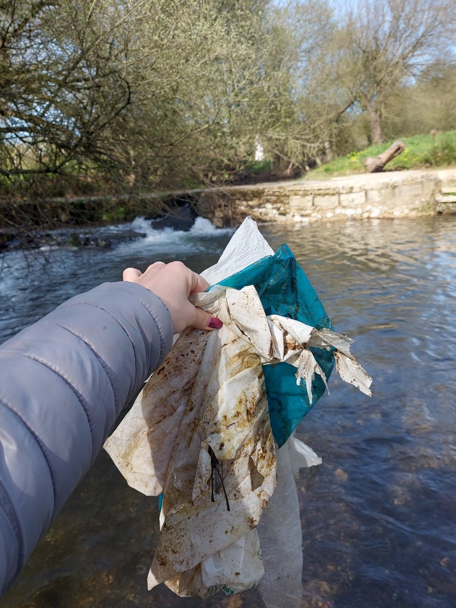 Evolutionary Genomics and Bioinformatics tweet media