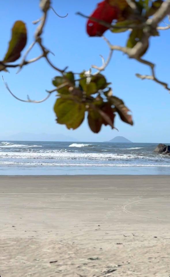 #OceanVibes #SurfLife  #MorningVibes