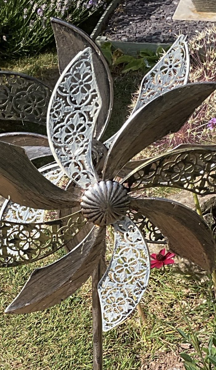 Happy Thursday and a beautiful one too for my Birthday some photos of the garden as I’m sat here in this glorious weather #relax #bees #butterfly