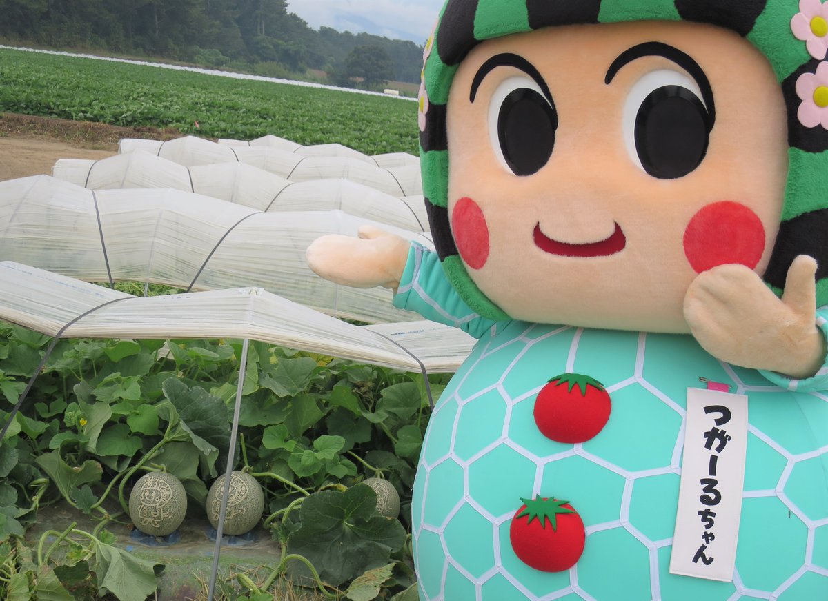 つがーるちゃんです（。∂◡∂。🌼）

7月1日本市産メロンの初セリで
青森の市場にお邪魔です!(^^)!

セリでは
糖度17度プレミアムメロンが
2玉で35万円！

どってん！どってん！( ;∀;)
（ビックリ）

でも一生懸命作られたメロンを
評価して下さりありがたやです♡

市内にはこんなメロンも♡