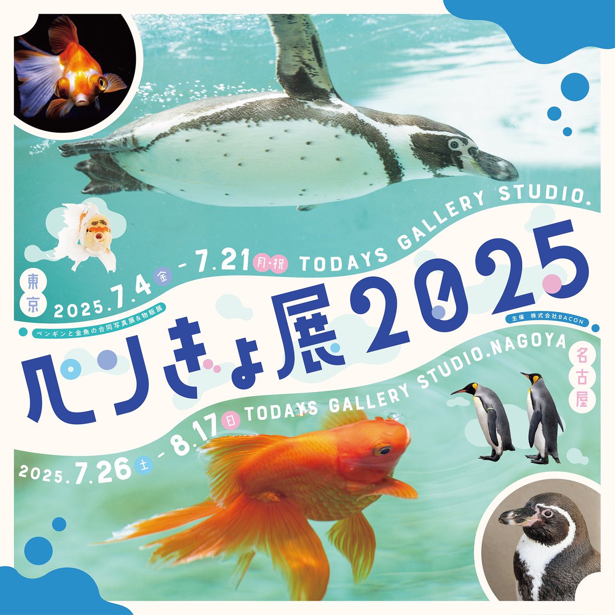 mizuichi_RI's tweet image. 明日7/4から開催の #ペンぎょ展2025 に出店させていただきます!
今年のペンぎょ展の新作は、ヒナと朝顔のポストカードと封筒付きミニカードです✉️
その他、限定品を多数出品しておりますので、是非ご来場下さい🐧🐟
▼公式アカウント
@baconcoltd
▼公式サイト
tgs.jp.net/event/pengyo/