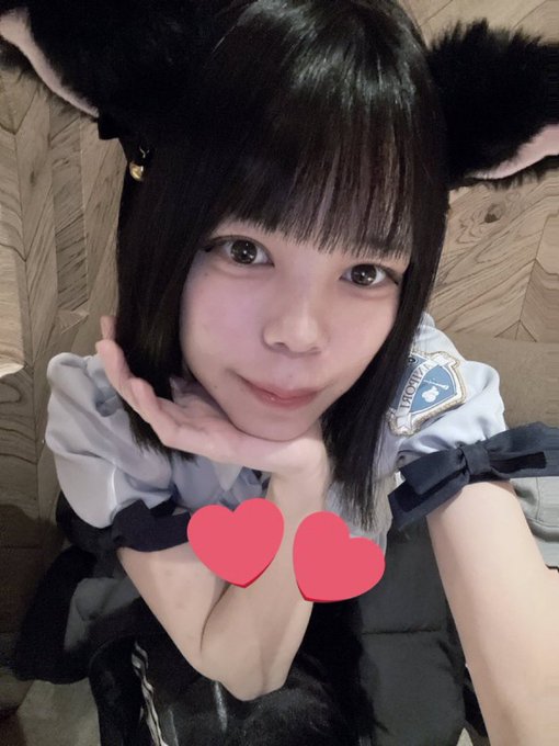 あにぽりのツイート