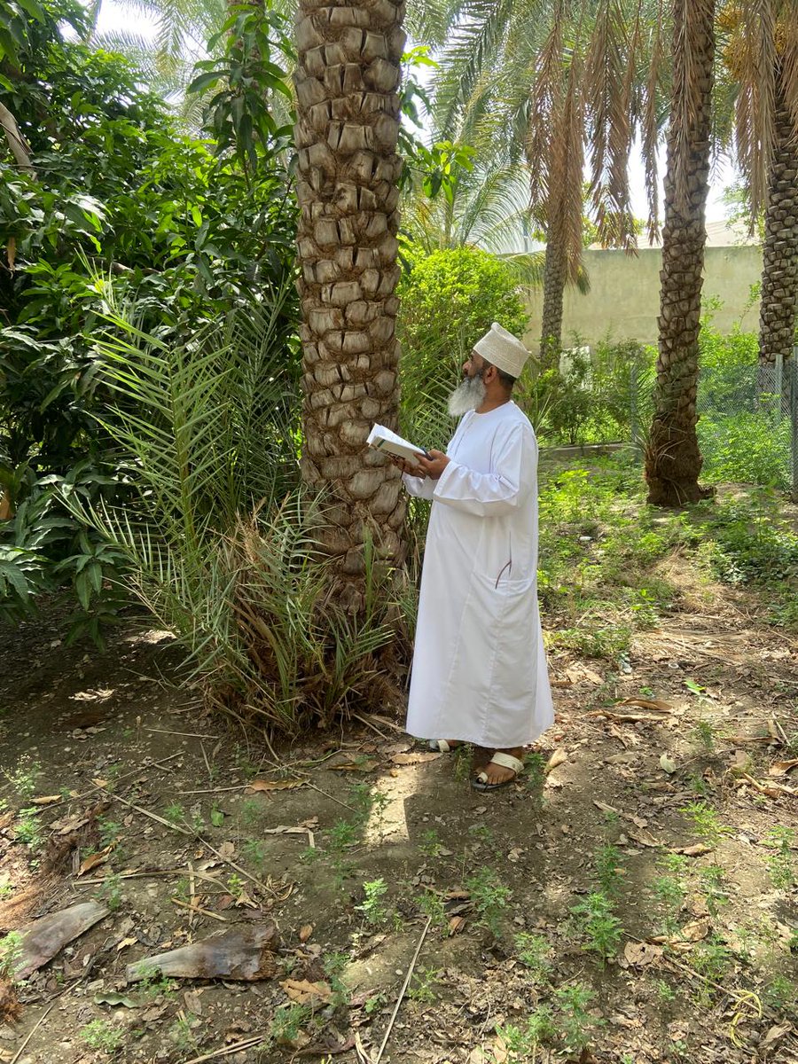 تواصل لجنة زكاة الثمار وعروض التجارة أداء دورها الريادي في تقدير زكاة الثمار لمختلف المزكين في أرجاء الولاية، ضمن جهودها الملموسة والمتواصلة لخدمة فريضة الزكاة.
نسأل الله أن يتقبل من كل من بادر وساهم، وأن يبارك في أموال المنفقين.
#جسور_المحبة_بالزكاة