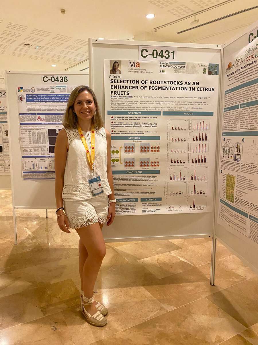 GVAivia's tweet photo. 🌿Estamos en el congreso "Iberian Plant Biology 2025" (@NewsSEBP + @SPBPlantas ) listos para aprender, compartir y descubrir nuevos retos.  Seguros de que surgirán colaboraciones que nos impulsen🚀a seguir creciendo. Presentamos trabajos de Horticultura #CyPV y Riegos #CDAS. https://t.co/yczWtt8iV5