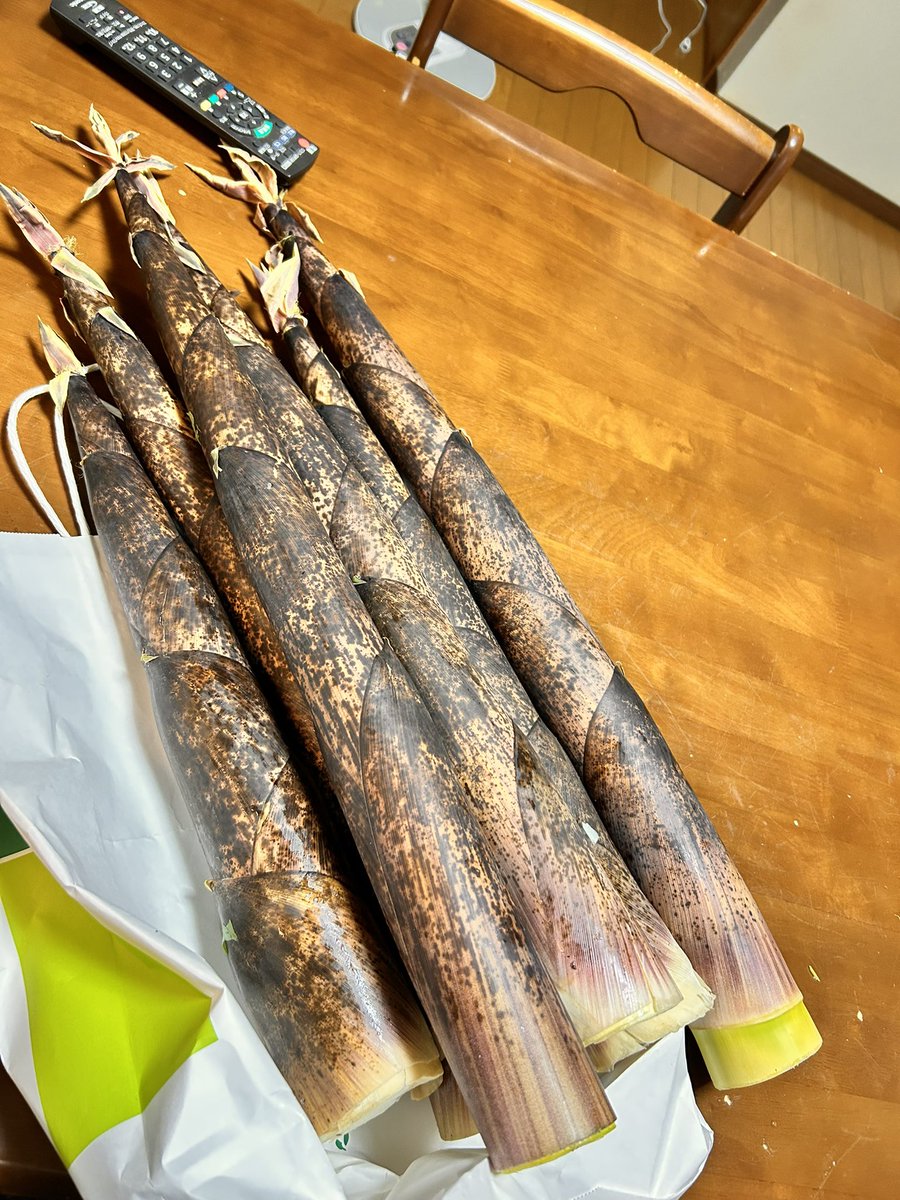 solid_0608's tweet photo. たけのこ貰った

アク抜きして
たけのこメンマ作るか　
気合いを入れないとキッチン暑くて
動けない

#たけのこ https://t.co/AEBn077L2j