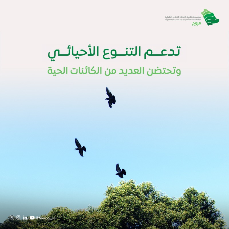 Morooj_sa's tweet photo. شجرة واحدة تصنع فرقًا كبيرًا!🌳

هواء أنقى، ظلّ أوفر، وبيئة أكثر ازدهارًا.