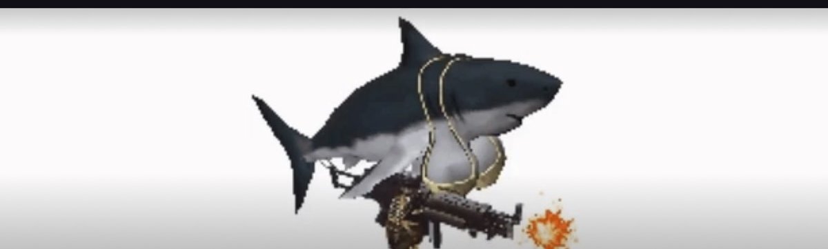 catolicc tweet media