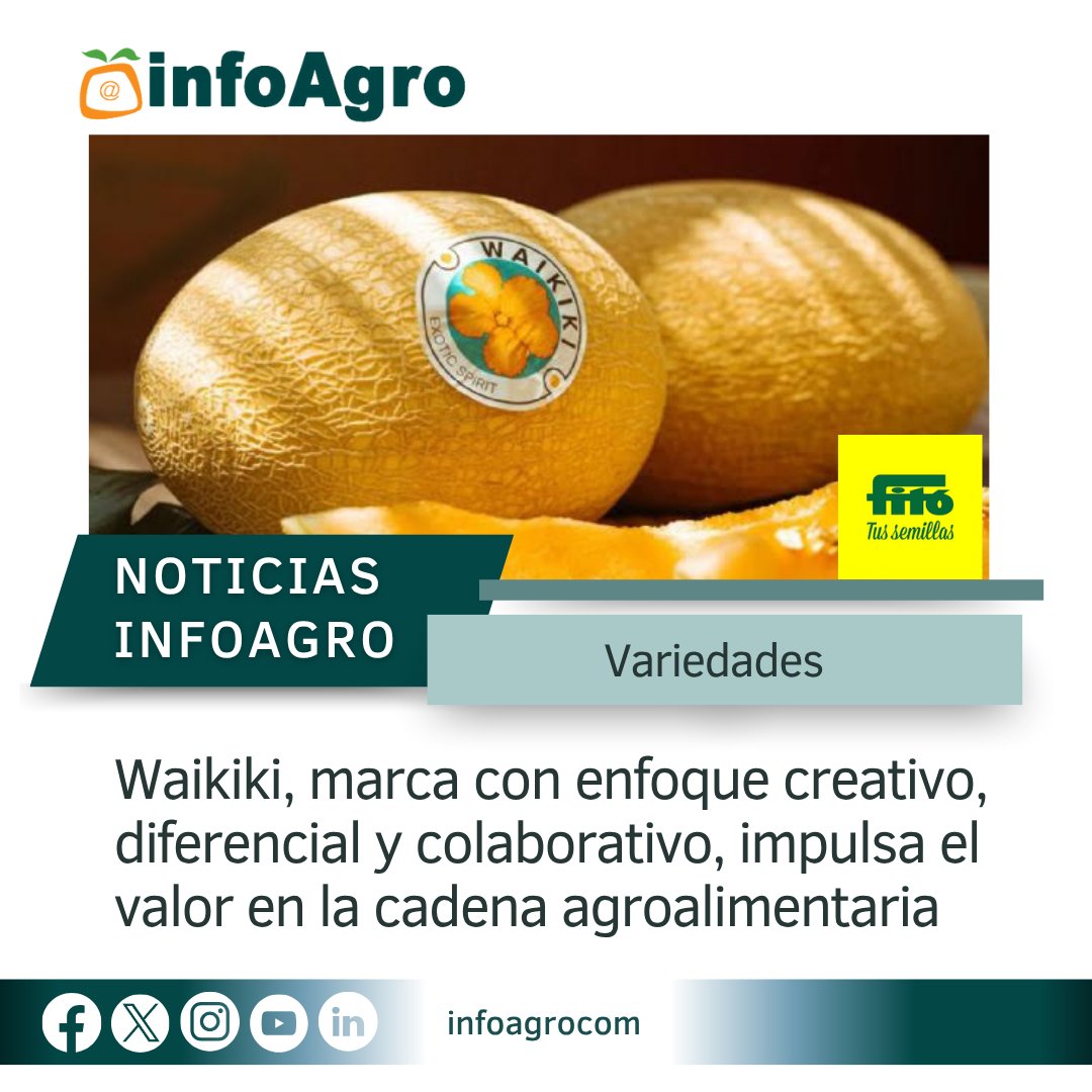 Infoagro (@infoagrocom) on Twitter photo 📰 Noticias de Infoagro
❗️ Waikiki, marca con enfoque creativo, diferencial y colaborativo, impulsa el valor en la cadena agroalimentaria.
🌐 infoagro.com/noticias/2025/…
<a href="/SemillasFito/">Semillas Fitó</a>
#infoagro #infoagrocom #NoticiasAgricolas #noticias #agronoticias #SemillasFitó #MelónWaikiki 📰 Noticias de Infoagro
❗️ Waikiki, marca con enfoque creativo, diferencial y colaborativo, impulsa el valor en la cadena agroalimentaria.
🌐 infoagro.com/noticias/2025/…
<a href="/SemillasFito/">Semillas Fitó</a>
#infoagro #infoagrocom #NoticiasAgricolas #noticias #agronoticias #SemillasFitó #MelónWaikiki