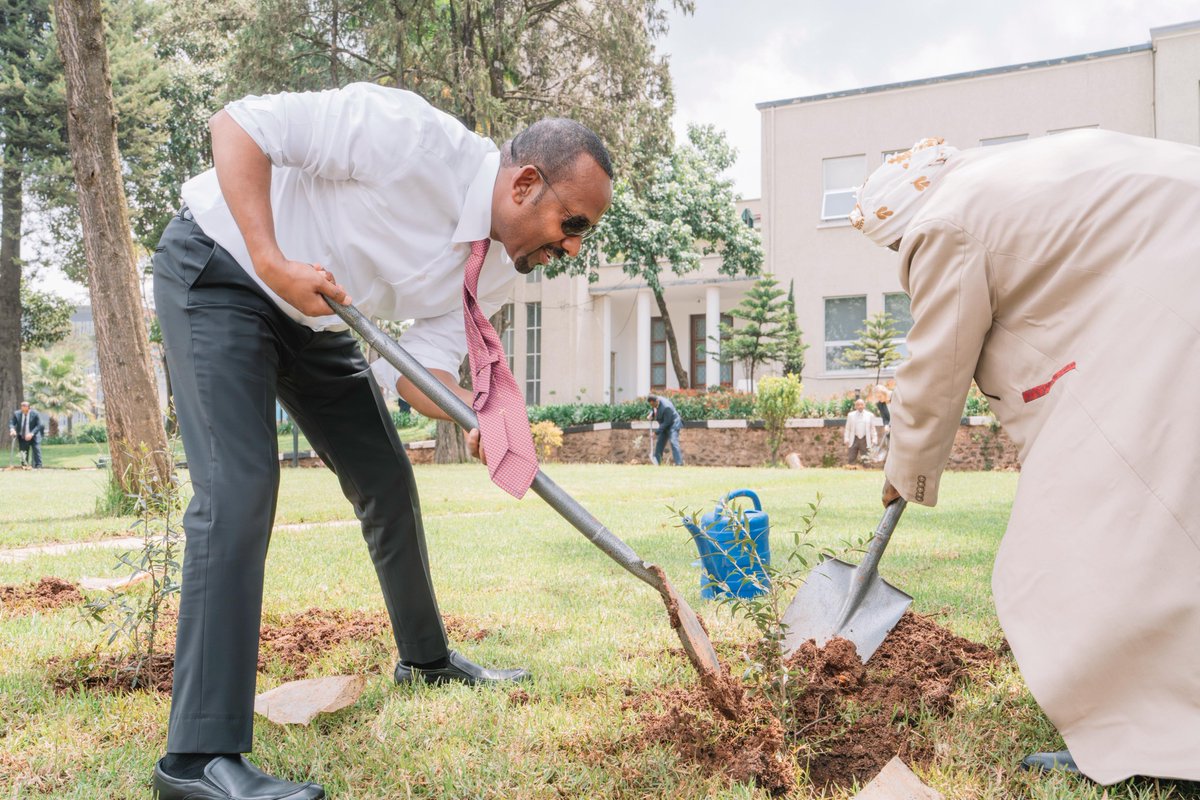 PMEthiopia's tweet image. While responding to questions from the House of People’s Representatives on the performance of the Ethiopian Year 2017 plan, Prime Minister Abiy Ahmed also planted #GreenLegacy seedlings on the parliamentary grounds and encouraged the public to remain committed to achieving this…